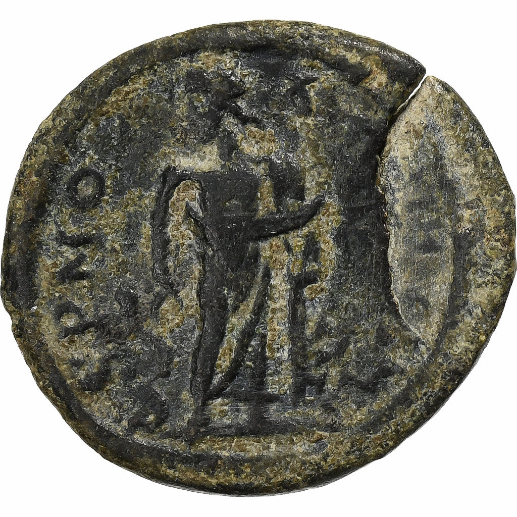 lidia,
 
 Septimio Severo,
 
 Æ Unidad