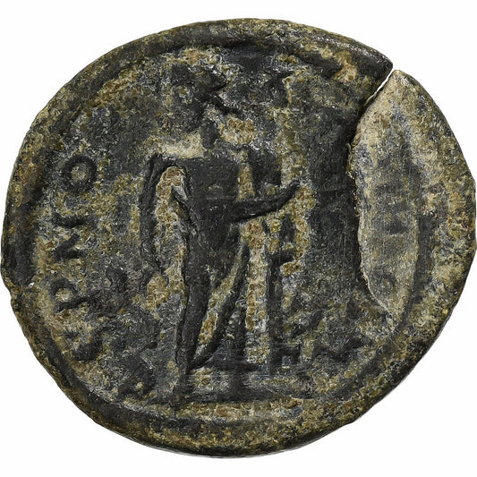 lidia,
 
 Septimio Severo,
 
 Æ Unidad