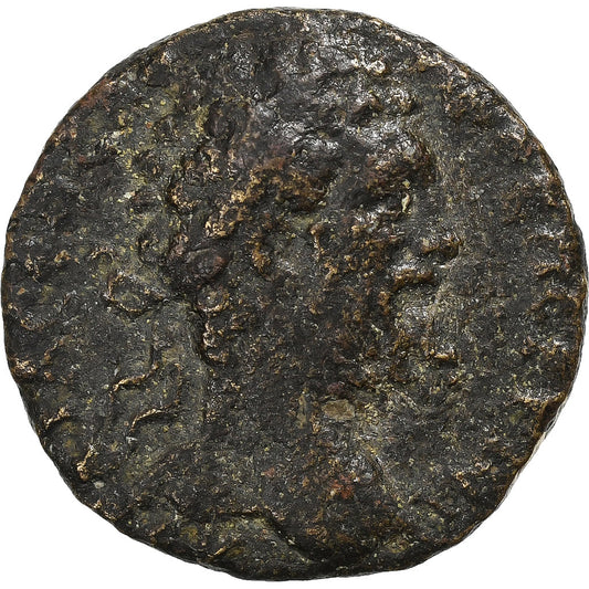 Cilicia,
 
 Septimio Severo,
 
 Æ Unidad