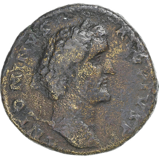 Antonino Pío 
  
  sestercio, 
  
  139