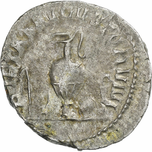 Herenio etrusco, 
  
  antonianos, 
  
  250-251
