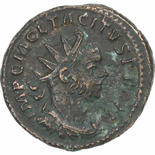 Tácito, 
  
  antonianos, 
  
  276