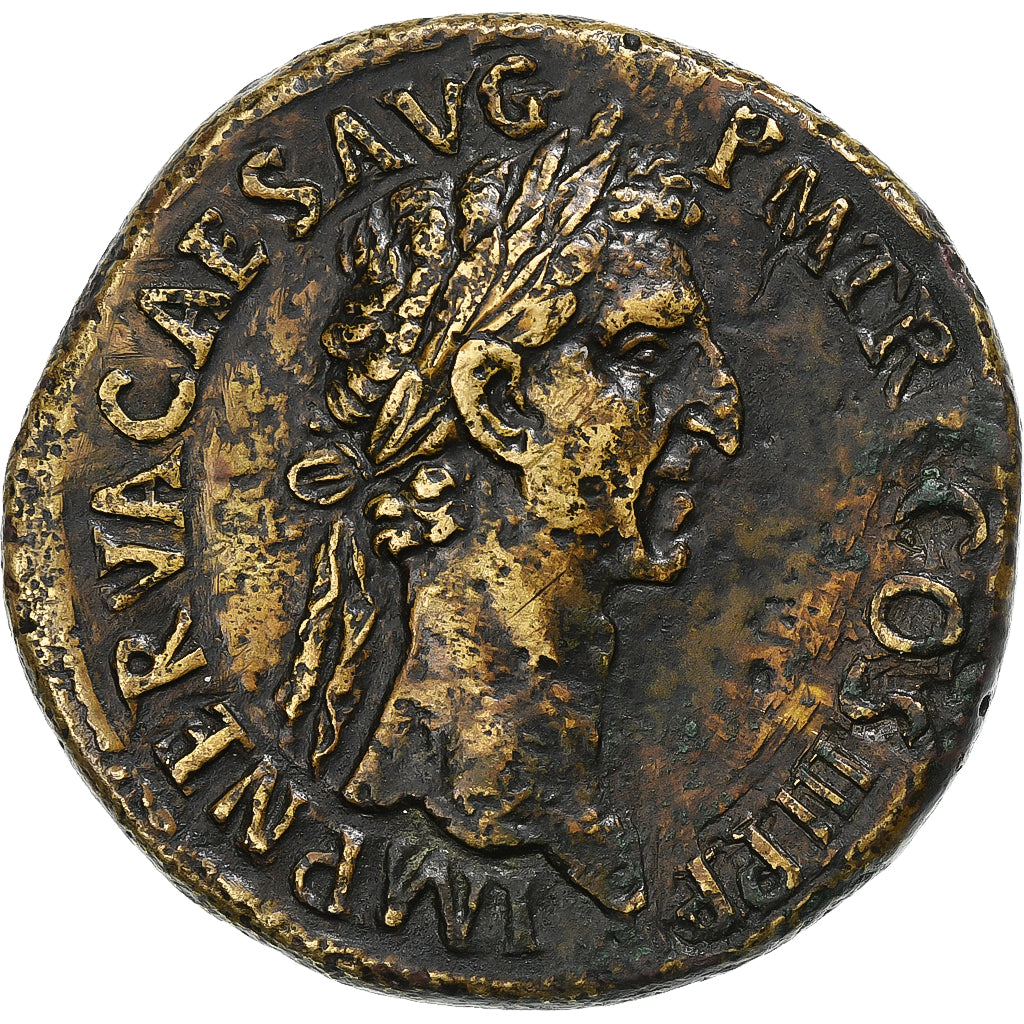 nervio,

sestercio,

97