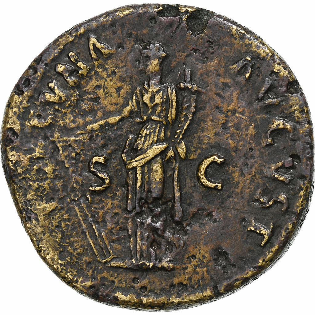 nervio,

sestercio,

97