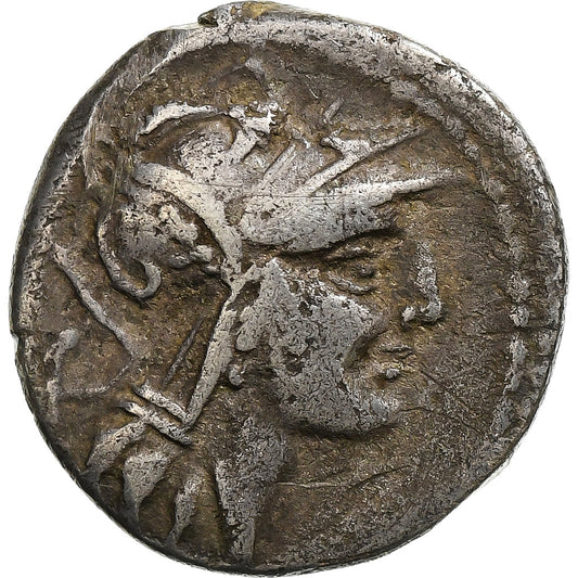 Junia, 
  
  Dinar, 
  
  91 a.C.