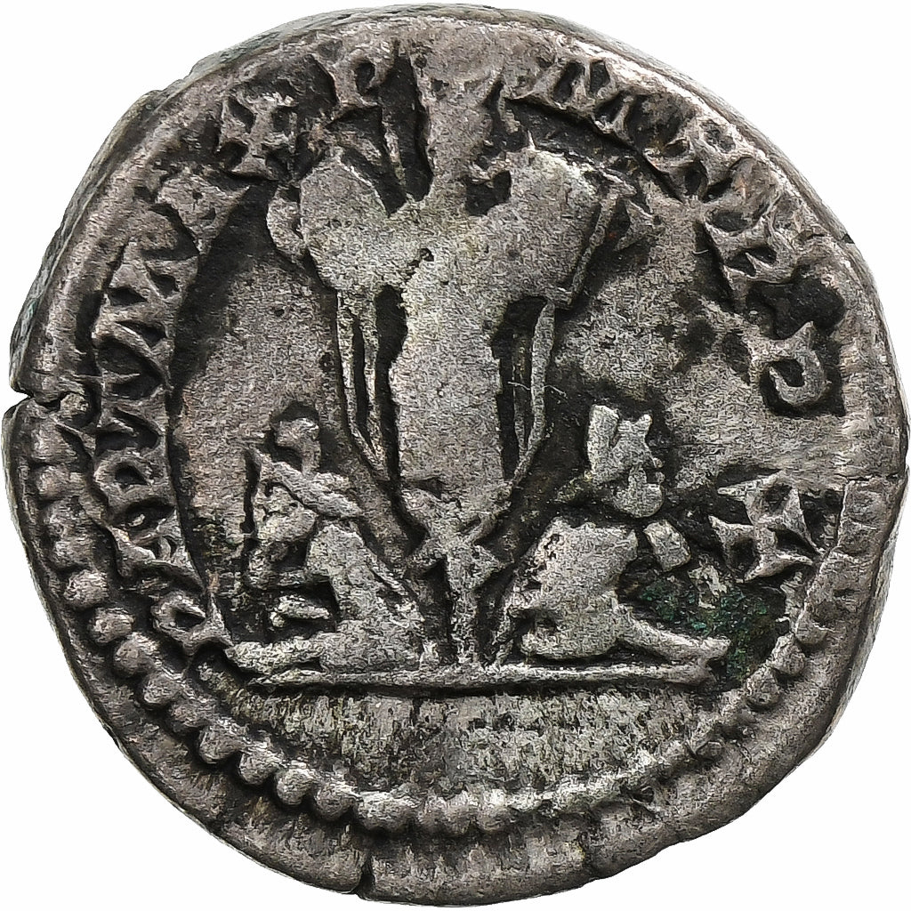 Septimio Severo, 
  
  Dinar, 
  
  202