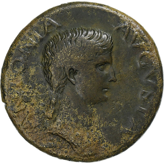 Antonia,
 
 duponcio,
 
 41-50