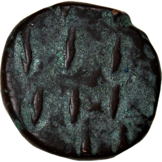 Acuñar, 
  
  Elimais, 
  
  Orodis II
